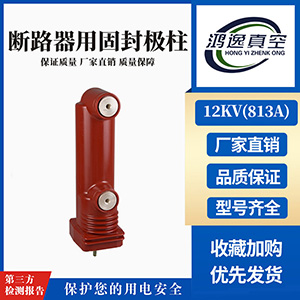 12kV斷路器用固封極柱（813A）